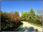 foto Alle pendici del Monte Grappa in Autunno